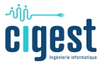 CIGEST INFORMATIQUE