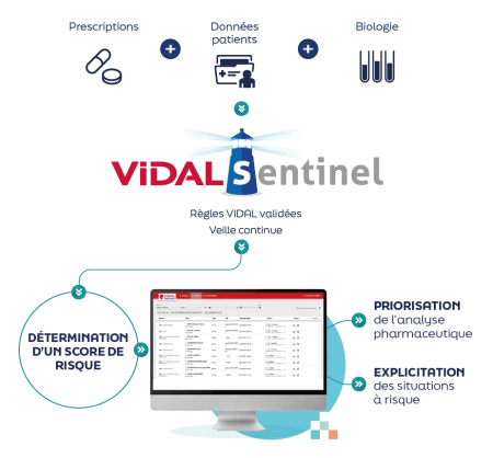 vidal