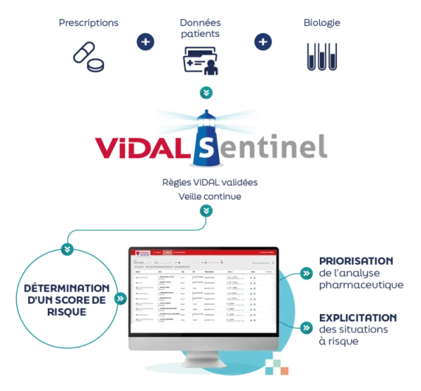 vidal